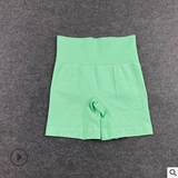 Selena Activewear Shorts